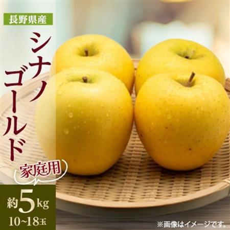 【家庭用】 長野県産 りんご シナノゴールド 約5kg(10～18玉程度)【1574749】