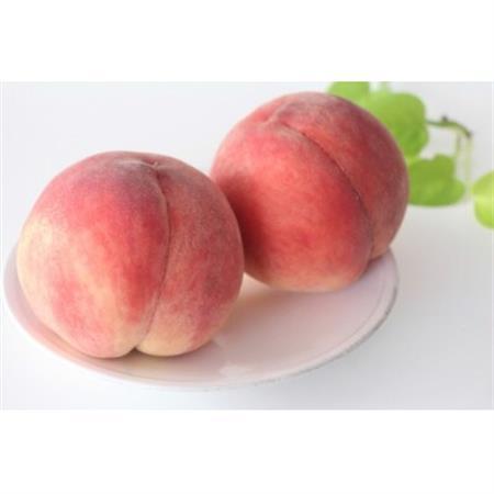【2026年発送】長野県北信州の桃 3kg(8～12玉) 品種おまかせ　贈答にもおすすめ【配送不可地域：離島】【1575720】
