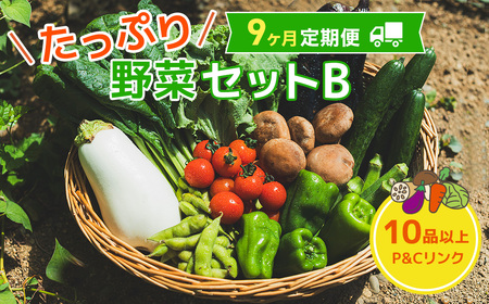 【 9ヶ月 定期便 】野菜セット 10品 季節 旬 野菜 詰め合せ 定期 国産 季節 旬 おまかせ 産地直送 春野菜 夏野菜 秋野菜 きのこ 葉物 果物 果菜 根菜 冷蔵 野菜室 ダイエット 食 栄養食 加工品 カット野菜 岩手県産 北上産 季節限定 山菜 ブロッコリー たまねぎ さつまいも とうもろこし サラダ トマト しいたけ アスパラガス 送料無料 岩手県 北上市 K0065 P＆Cリンク