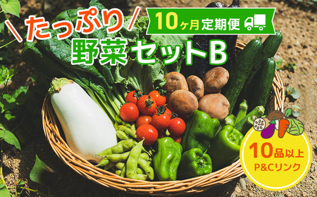 【 10ヶ月 定期便 】野菜セット 10品 季節 旬 野菜 詰め合せ 定期 国産 季節 旬 おまかせ 産地直送 春野菜 夏野菜 秋野菜 きのこ 葉物 果物 果菜 根菜 冷蔵 野菜室 ダイエット 食 栄養食 加工品 カット野菜 岩手県産 北上産 季節限定 山菜 ブロッコリー たまねぎ さつまいも とうもろこし サラダ トマト しいたけ アスパラガス 送料無料 岩手県 北上市 L0096 P＆Cリンク