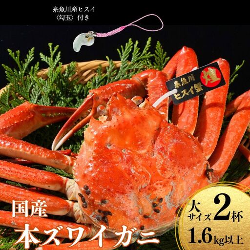 〈期間限定〉本ズワイガニ 大800g以上×2杯 計1.6kg以上 《ヒスイ勾玉付き》 『煌めき』 姿 茹で蟹 糸魚川産 鮮度が命！茹でたて直送 ずわいがに かに 蟹 ヒスイ水産 国産 日本海 新潟 新鮮 タグ付き 11月から漁開始 ギフトにも おススメ カニ ヒスイ蟹 まがたま