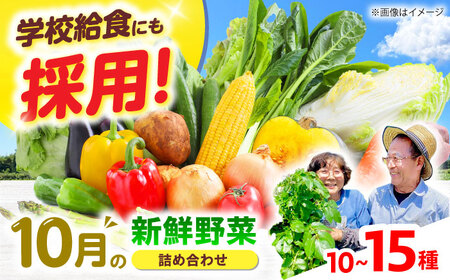 高槻野菜おまかせ詰め合わせセット 10月(10種〜15種)[AOCS016]野菜セット
