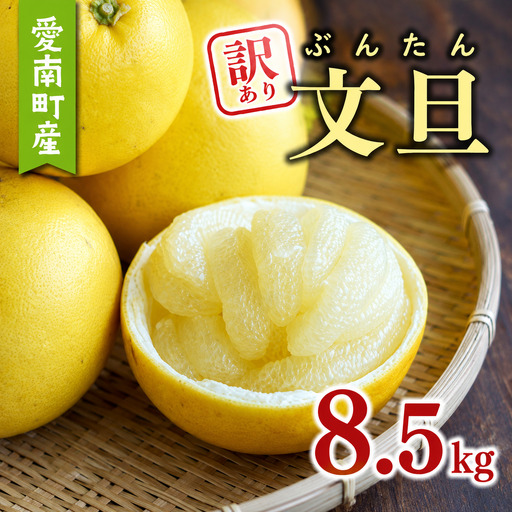  訳あり 文旦 8.5kg あいなんマザーズ