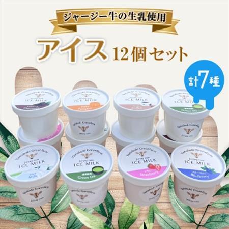 ジャージー牛の生乳を使用したアイス12個セット[配送不可地域:離島]