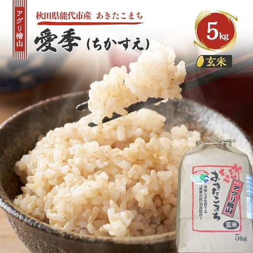 令和7年産 玄米 秋田県産 あきたこまち  アグリ檜山米 玄米【5kg】