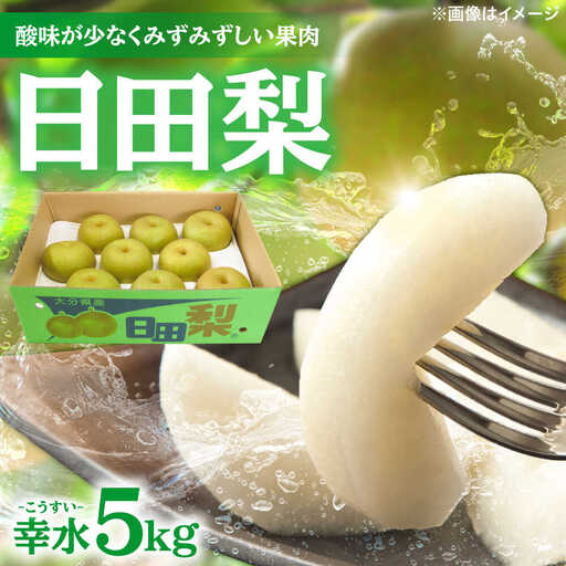 梨 先行予約 日田梨 幸水 5kg [ARBB001]