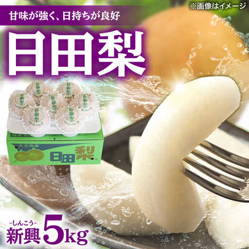 【先行予約・26年10月以降発送】梨 新興 5kg 梨 [ARBB005]