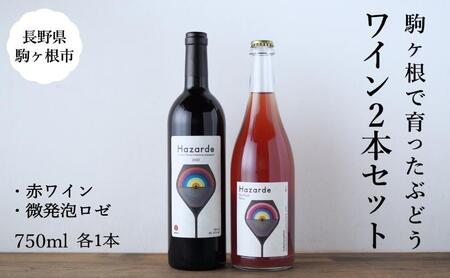 十文字ガルテンのワイン2本セット（赤ワイン・微発泡ロゼ 750ml 各1本） 駒ヶ根市 ワイン
