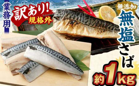 【訳あり規格外】  業務用 無添加 無塩さば 1kg 鯖 さば サバ 魚 お魚 さかな 魚介 魚介類