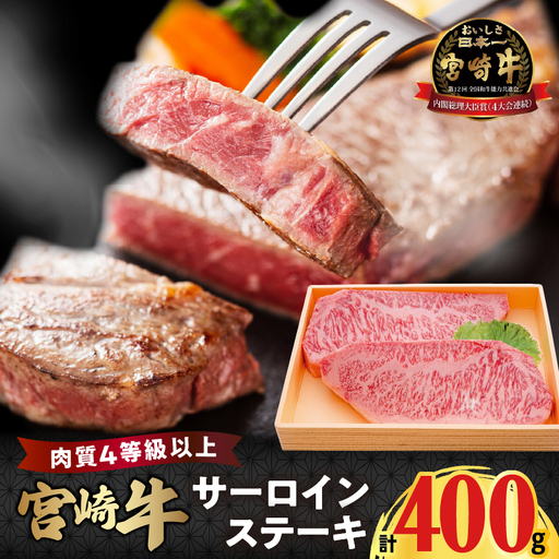 宮崎牛サーロインステーキ(計400g) 肉 牛 牛肉 国産_T050-0015