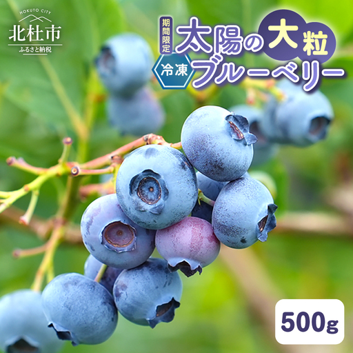 【大粒】山梨県産（明野産）冷凍 ブルーベリー500g [h290]