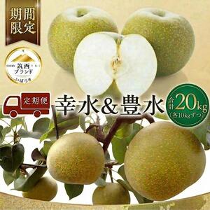 梨 2種 ( 幸水 ＆ 豊水 各10kg 合計20kg ) 定期便 セット 2026年産 先行予約 なし