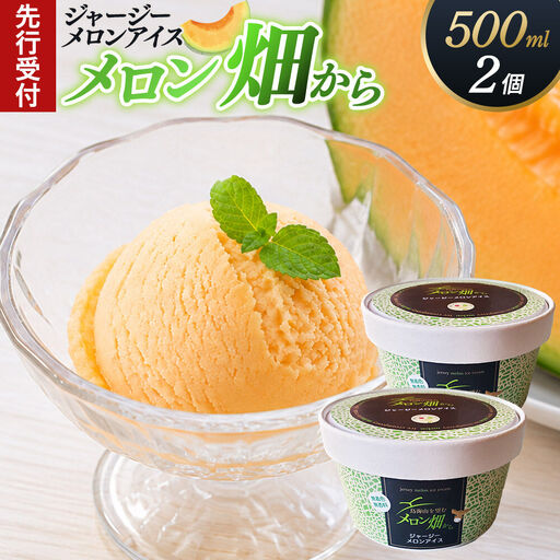 《先行受付》ジャージーメロンアイス「メロン畑から」500ml×2個