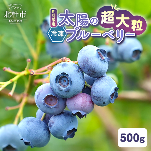 【超大粒】山梨県産（明野産）冷凍　ブルーベリー500g [h290]