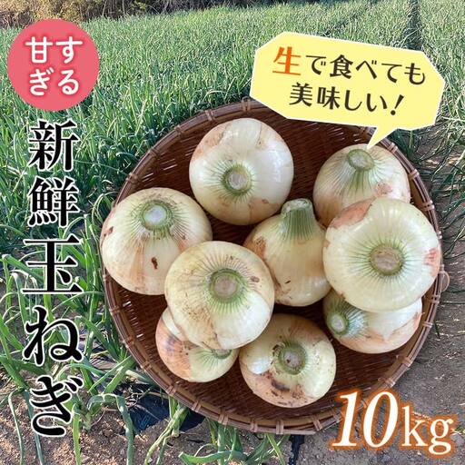 [2027年度先行予約]甘すぎる新鮮玉ねぎ 10kg(2027年6月上旬〜6月下旬頃出荷) 減農薬減 化学肥料 生食 たまねぎ 玉ねぎ タマネギ 野菜 食品 F21E-111