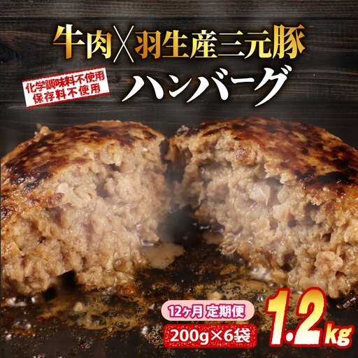 定期便 12回 ハンバーグ 1.2kg 個包装 ギフト お歳暮 大判ハンバーグ