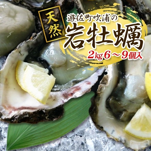 天然岩牡蠣 約2kg 6～9個入 殻付き 山形県遊佐町吹浦産 6月上旬～8月下旬頃お届け 冷蔵便 ※着日指定・離島（沖縄県を含む）発送不可 カキ かき 岩かき お取り寄せ 日本海 東北 庄内 鮮魚 新鮮 [1472]