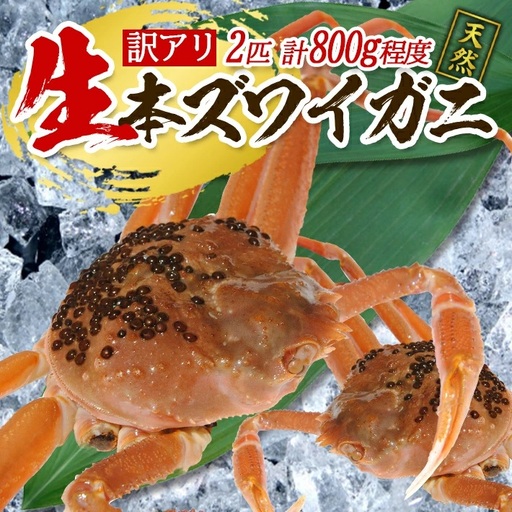訳あり 生・本ズワイガニ 2匹 計800g程度 1～2本足折れ 遊佐沖 10月中旬～12月下旬頃お届け 冷蔵便 ※着日指定・離島（沖縄県を含む）発送不可 わけあり 訳アリ ワケアリ ワケあり カニ 蟹 かに 海産物 海鮮 新鮮 まるごと 生食 刺身 ボイル 期間限定 [856]