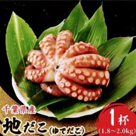 地だこ 1杯 (1.8kg～2.0kg)_魚介・海産物 タコ  たこ 蛸_【配送不可地域：離島】【1575491】