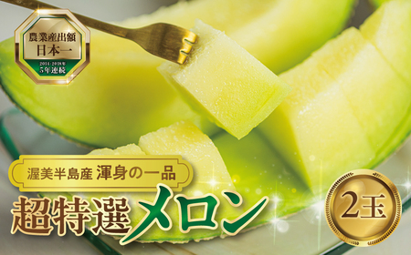 《先行予約》 超特選メロンマスクメロン 2玉(1玉 2.1kg前後) 渥美半島産 マルタケ農園 メロン めろん 箱詰め フルーツ 果物 愛知県 田原市 産地直送 夏 19000円 1万9千円