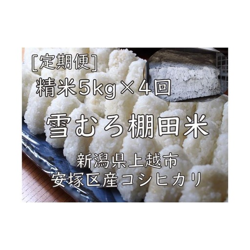 棚田米 コシヒカリ 精白米 コシヒカリ 20kg(5kg×4回)[定期便]