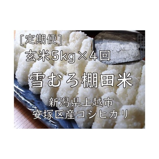 棚田米 コシヒカリ 玄米 コシヒカリ 5kg 毎月4回【定期便】