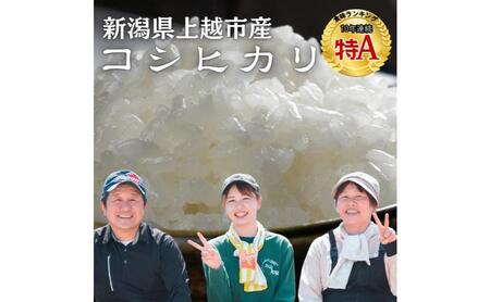 令和7年 新潟県産 特別栽培米 コシヒカリ 5kg 5キロ上越市清里区 新潟 精米 従来品種 希少 限定 送料無料