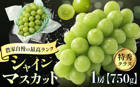 [2026年発送]シャインマスカット 農家自慢の最高ランク シャインマスカット 約750g 特秀クラス Nini farm