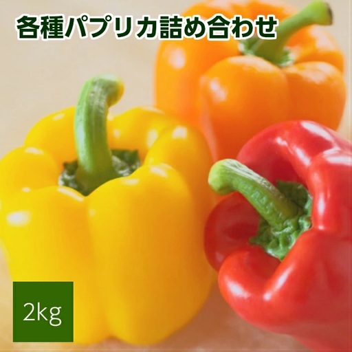 パプリカアラカルト 2kg 山形県遊佐産 2026年7月上旬～11月下旬頃お届け ※着日指定不可 野菜 パプリカ 東北 山形県 遊佐町 庄内 夏 秋 [1220]