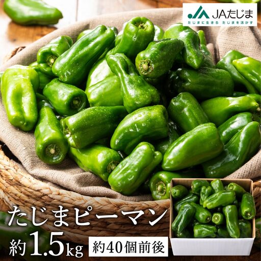 【数量限定】 たじまピーマン 約1.5kg / 7月中旬から順次発送 肉厚 ピーマン 肉詰め 新鮮 野菜 産地直送 やさい 苦みが少ない 甘みが強い 歯ごたえが良い 濃い緑 夏秋ピーマン