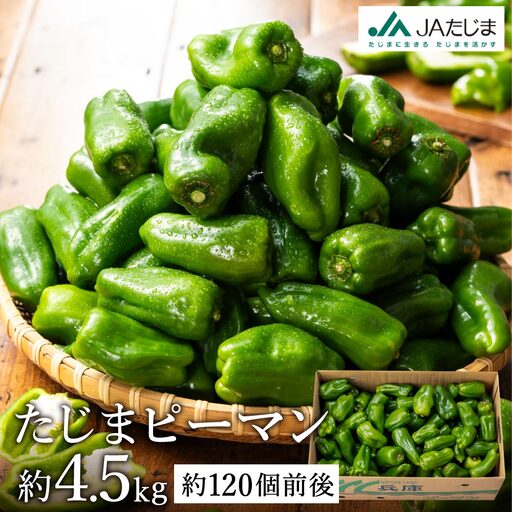 たじまピーマン 約4.5kg【数量限定】