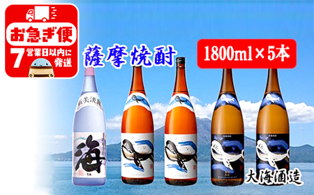 E5-25126／大海酒造　特選　5本セット