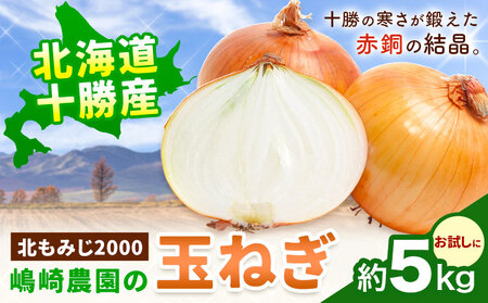 [先行予約]玉ねぎ たまねぎ 玉葱 選べる 約5kg サイズ混合[2026年10月上旬から11月上旬頃出荷]嶋崎農園 送料無料 北海道 本別町 北海道 十勝 本別町産 オニオン カレー サラダ スープ 野菜