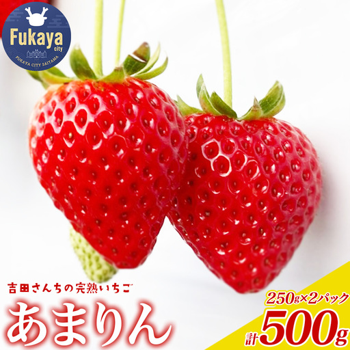 ＜先行予約＞吉田さんちの完熟苺「あまりん」　500g　【11218-0846】