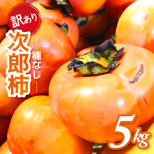 【令和8年産柿/先行予約】訳あり 5kg 多気町発祥 前川次郎 柿