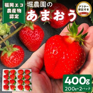 [2026年12月より順次発送]福岡県エコ農産物認定 堀農園のあまおう400g_ いちご〔Fi074〕