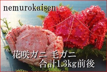 【北海道根室産】花咲ガニ1尾・毛がに1尾(2種計1.3kg前後) D-57039