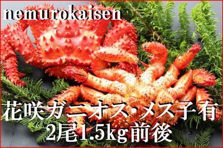 【北海道根室産】花咲ガニ(オス・メス)各1尾(計1.5kg前後) D-57041