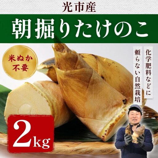 たけのこ 朝掘り 2kg 米ぬか不要[先行予約]2027年4月順次発送 筍 タケノコ 国産 野菜 旬 新鮮 採りたて 煮物 味噌汁 炊き込みご飯 山口県 光市 室積たけのこ園