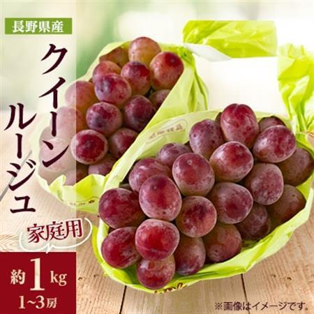 家庭用【2026年発送】長野限定　信州産クイーンルージュ(赤ぶどう)　約1kg(1～3房)【配送不可地域：離島】【1576735】
