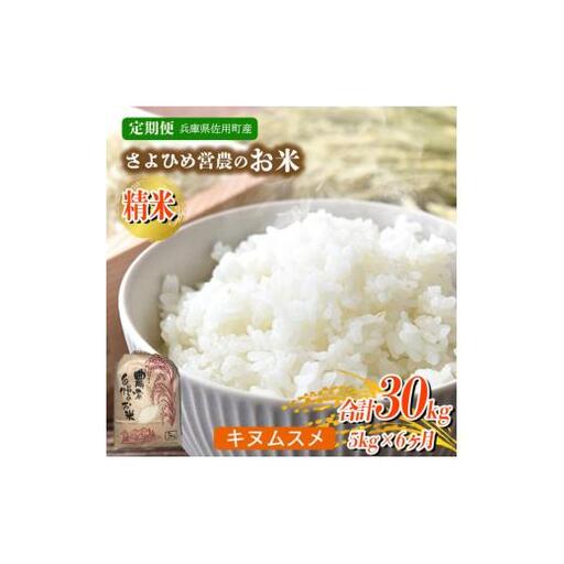【6ヵ月定期便】兵庫県佐用町産 お米 5kg×6ヵ月 (計30kg) 精米 キヌムスメ