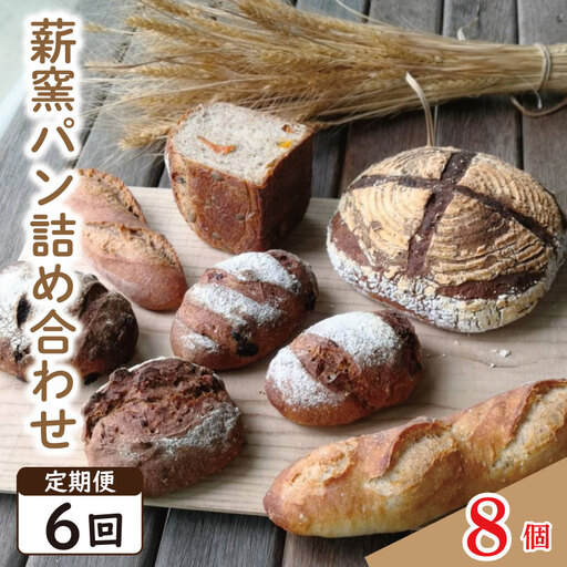 定期便6回 ハード系 パン 8個  おまかせセット ｜ パン