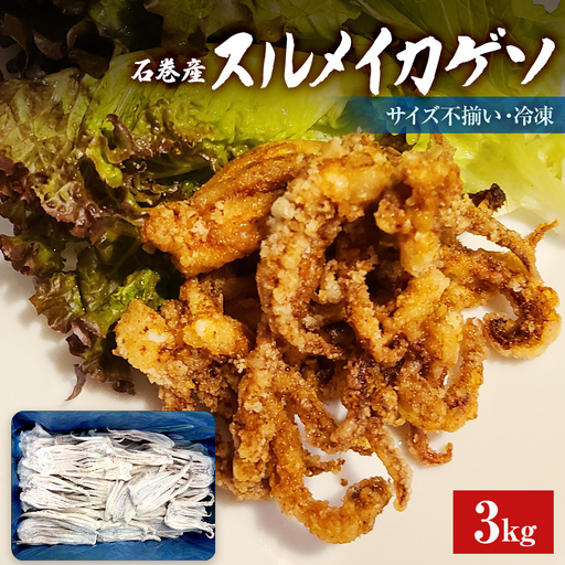 石巻市産スルメイカゲソ3kg 冷凍 国産 スルメイカ いか 下足 イカ イカゲソ カルパッチョ