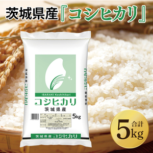 【茨城県共通返礼品】令和7年産 茨城県産 コシヒカリ5kg【お米 米 こしひかり ごはん 茨城県】（03-48-1）