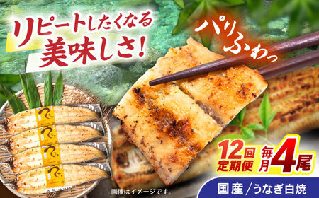 【12回定期便】【諫早淡水】うなぎ白焼き4尾  / うなぎ 白焼き 栄養価 小分け 冷凍 / 諫早市 / 諫早淡水 [AHAT050] 30万 300000