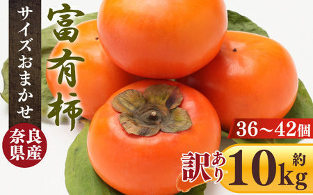[ 訳あり ] 富有柿 10kg 箱 サイズおまかせ( 36個 〜 42個 )| 柿 大容量 わけあり 熊代農園 | 奈良県 五條市