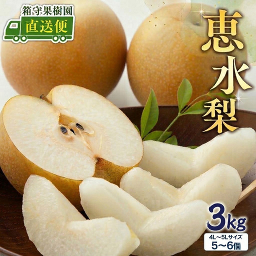 [ 先行予約 ]箱守果樹園 直送! 恵水梨 3kg なし 梨 果実 果物 フルーツ