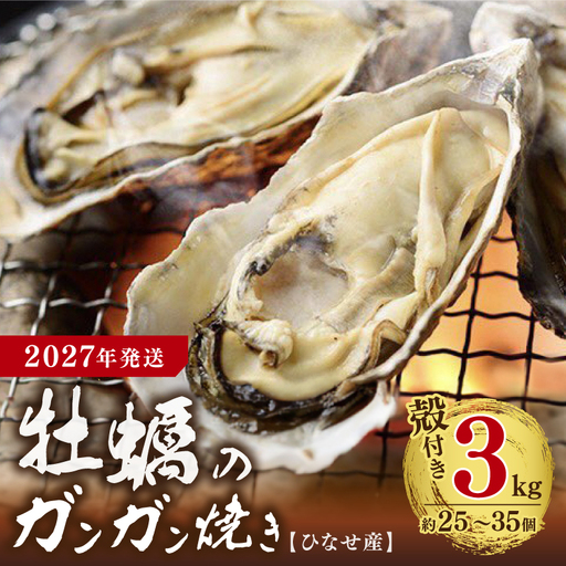 [2027年発送]ひなせ産 牡蠣 ガンガン焼きセット 3kg[牡蠣]