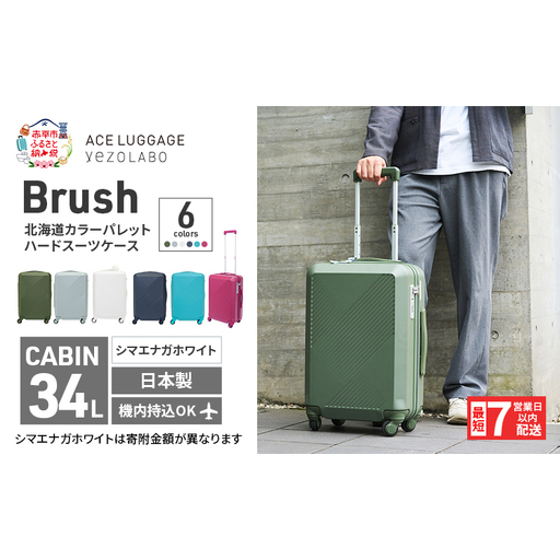 スーツケースBrushカラーパレット シマエナガホワイト スーツケース【34L】