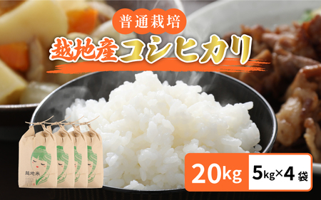 【先行予約】【令和7年産 新米】越地 (こいち) 産 コシヒカリ (白米) 計20kg（5kg×4袋） 【2025年9月中旬以降順次発送予定】[m24-d003]